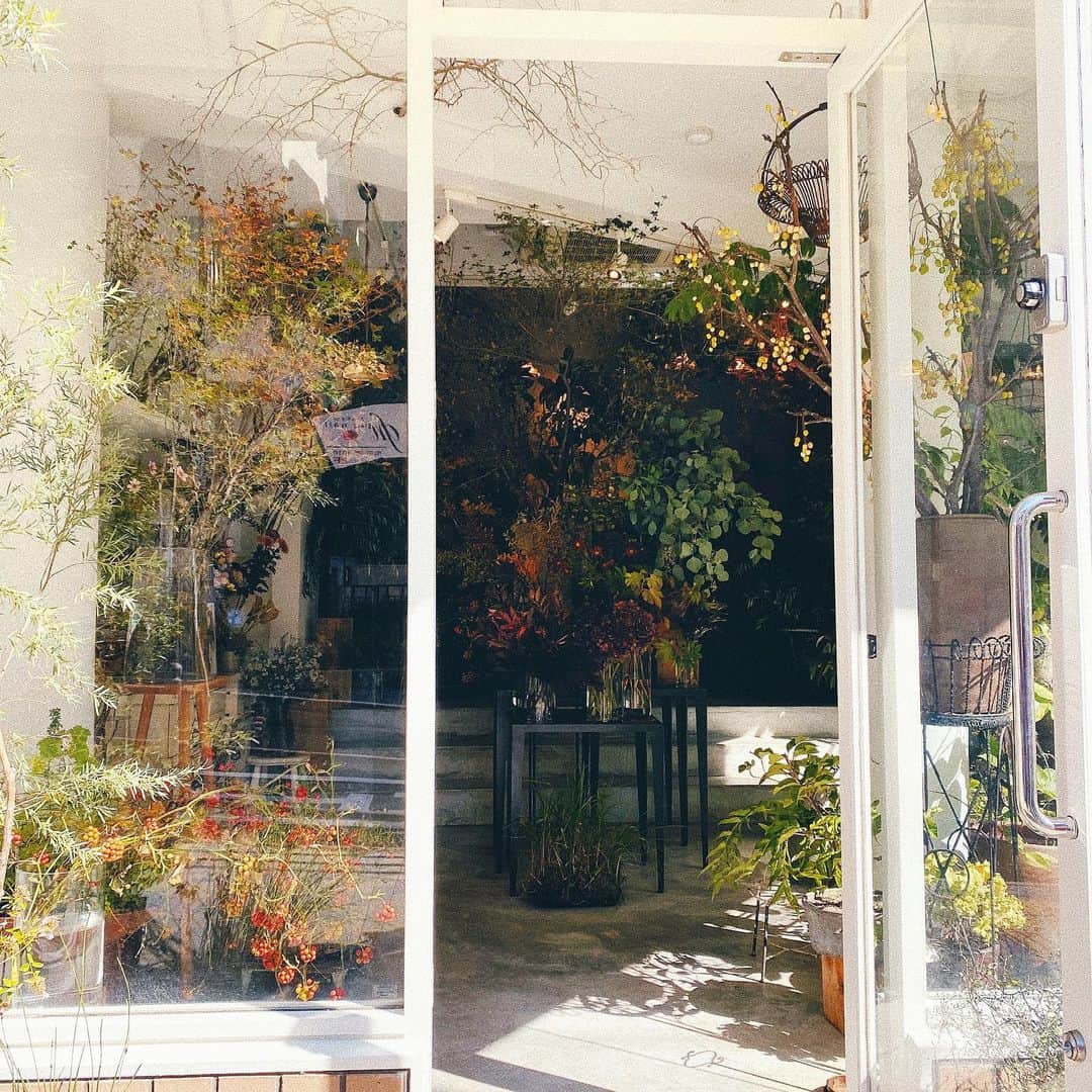 i_am_romikoのインスタグラム：「お家にある緑は全てここで揃えてます🌿 @vestita00  . . #花のある暮らし #六甲 #vestita」