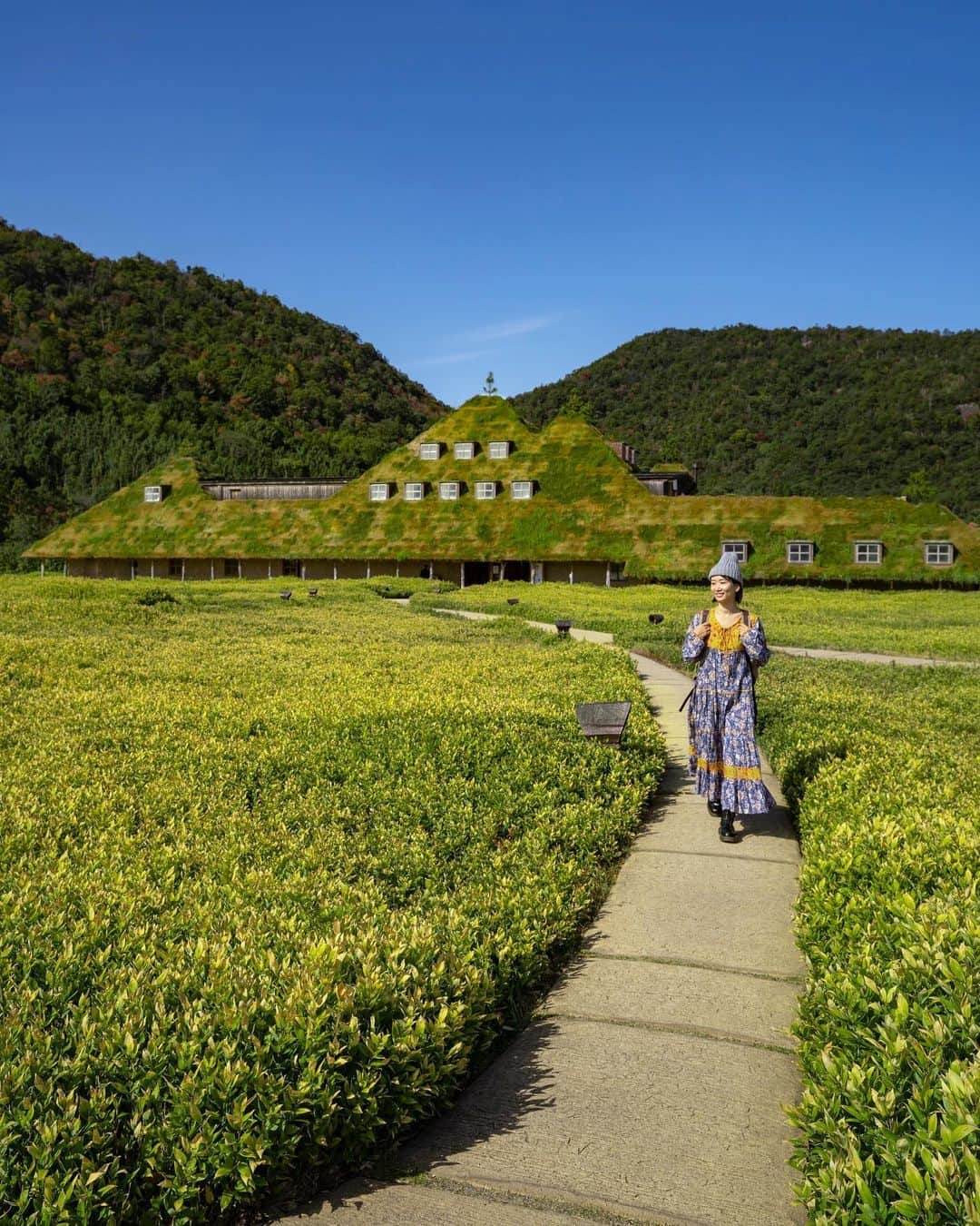 詩歩のグルメインスタ