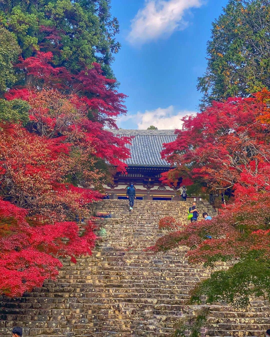 hama_aki_pppさんのインスタグラム写真 - (hama_aki_pppInstagram)「京都市右京区#神護寺  Location Kyoto Japan    2020.11.8    毎年恒例紅葉の始まりはここからな神護寺⛩🍁🍁年々多くなってる気がします。山道をサクサク自分のペースで歩けないので少し疲れました😅。　 　  #神社仏閣　 #寺院仏閣　 #美しい日本　 #日本庭園  #おとな旅プレミアム　 #紅葉  #紅葉狩り  #そうだ京都行こう　 #こころから  #日本ツアーズ　 #momiji  #autumnleaves  #top_favorite_shots  #japan_vacations  #inspring_shot #beautiful_kansai #worldbestshot  #japanesetemple  #japanesegarden  #loves_united_japan  #jalan_travel  #special_spot_  #japanese_gardens  #look_japan  #otonatabi_japan  #autumn_leaves  #autumn_colors」11月9日 16時51分 - hama_aki_ppp