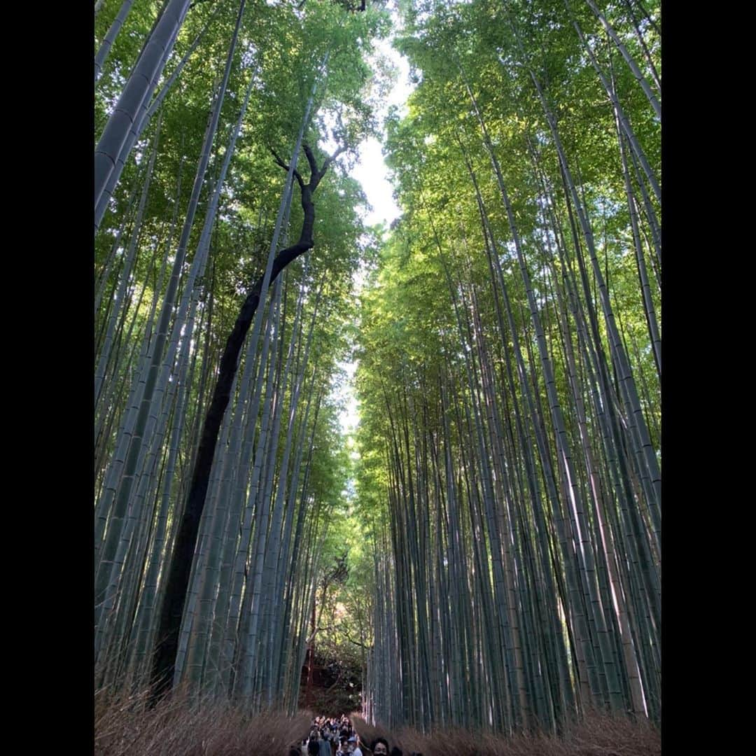 桜井玲香さんのインスタグラム写真 - (桜井玲香Instagram)「良いね 寒くなったね  もう冬だもんね」11月9日 16時47分 - reika_s16