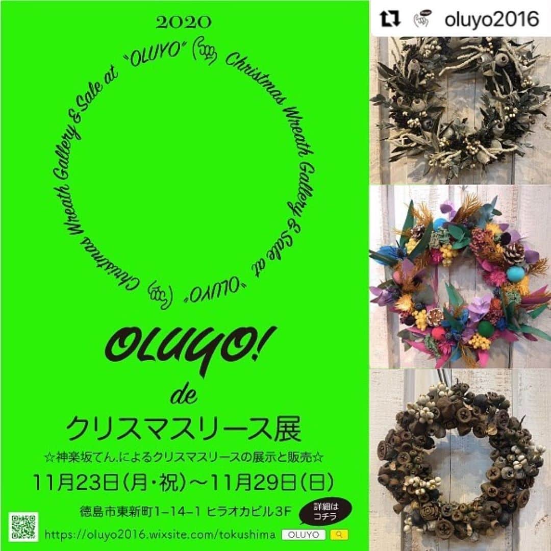 福岡晃子のインスタグラム：「OLUYOリニューアルオープン一発目のイベントはこちら👇  #Repost @oluyo2016 with @make_repost ・・・ 【OLUYO de クリスマスリース展2020】  毎年恒例となっているOLUYOのクリスマスリース。 今年は東京神楽坂のお花屋さん「てん.」による展示会＆即売会を開催します。 期間は11/23(月祝)〜11/29(日)の1週間。 時間は12時〜18時(土日のみ19時まで)となっております。 てん.のオリジナリティ溢れるクリスマスリースであなたの部屋をひと足早くクリスマス色にしてみてはいかがでしょう？  #徳島 #OLUYO #クリスマスリース展」