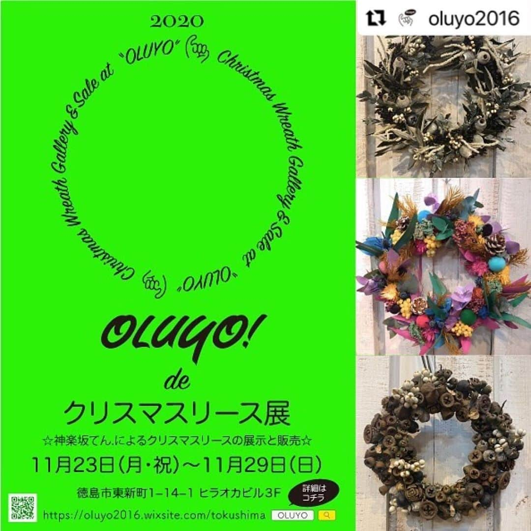 福岡晃子さんのインスタグラム写真 - (福岡晃子Instagram)「OLUYOリニューアルオープン一発目のイベントはこちら👇  #Repost @oluyo2016 with @make_repost ・・・ 【OLUYO de クリスマスリース展2020】  毎年恒例となっているOLUYOのクリスマスリース。 今年は東京神楽坂のお花屋さん「てん.」による展示会＆即売会を開催します。 期間は11/23(月祝)〜11/29(日)の1週間。 時間は12時〜18時(土日のみ19時まで)となっております。 てん.のオリジナリティ溢れるクリスマスリースであなたの部屋をひと足早くクリスマス色にしてみてはいかがでしょう？  #徳島 #OLUYO #クリスマスリース展」11月9日 17時13分 - akikofukuoka_oluyo