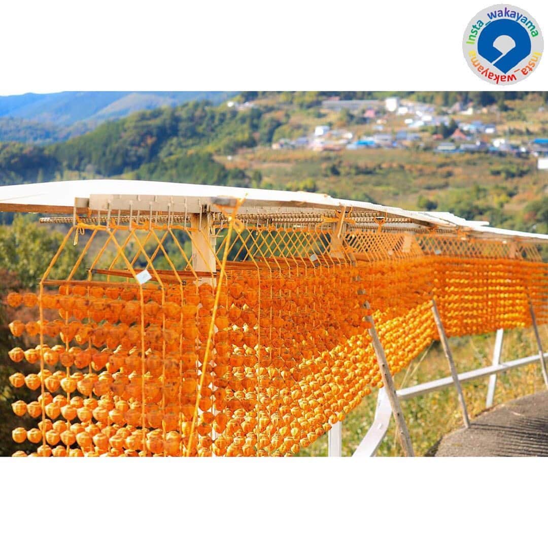 和歌山県のインスタグラム