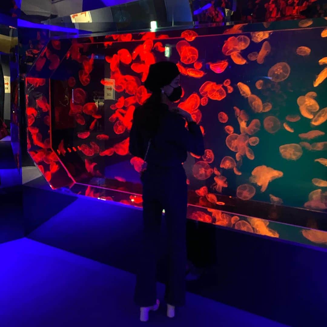 野島樺乃のインスタグラム：「𓆛𓆜  . . . . . . . 水族館、一日中いれるかも... とっても癒された日☺︎‬」