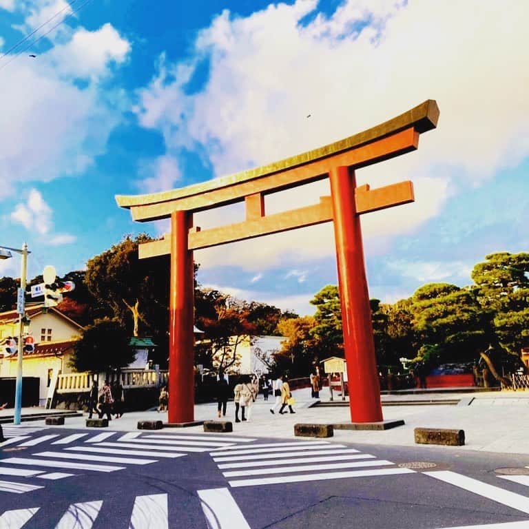 林伊織のインスタグラム：「悪鬼滅殺。(雰囲気)  #鎌倉まで歩いてみた #鶴岡八幡宮 #大鳥居」