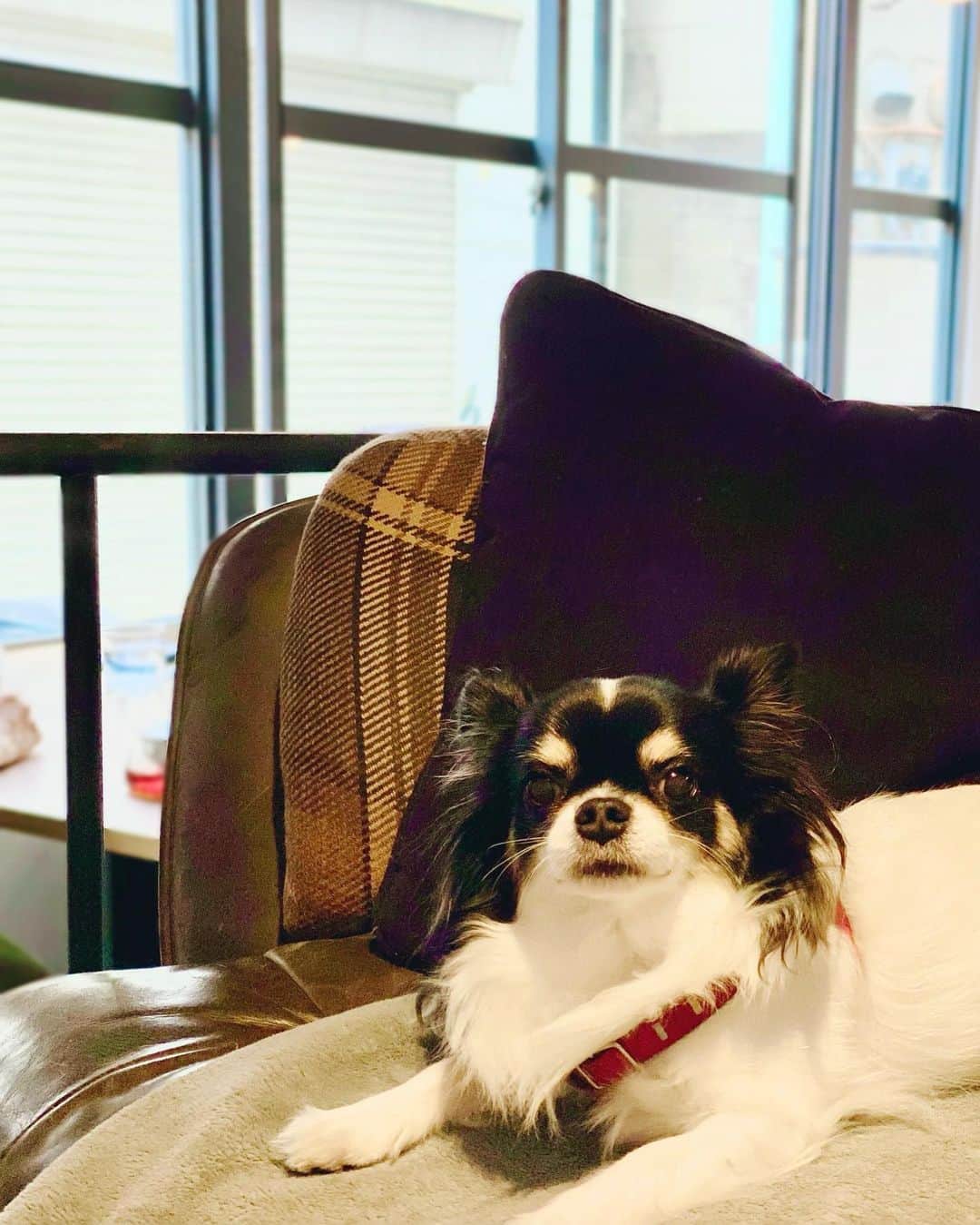 ららちゃんのグルメインスタ