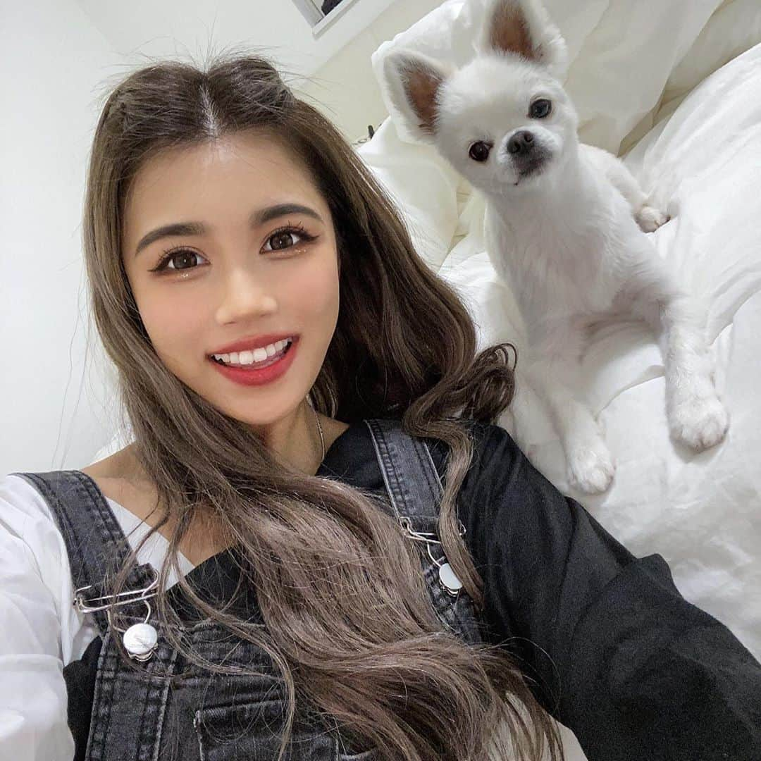 ILYのインスタグラム：「🐶🤍」