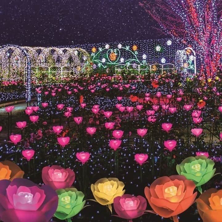 TOBU RAILWAY（東武鉄道）さんのインスタグラム写真 - (TOBU RAILWAY（東武鉄道）Instagram)「. . 🚩Ashikaga Flower Park -  Ashikaga, Tochigi . . [Enjoy illumination at Tochigi Prefecture's Ashikaga Flower Park!] . Ashikaga Flower Park in Tochigi Prefecture is one of the largest illuminations in the Kanto area. It is a popular event held every winter. Would you like to visit the Ashikaga Flower Park with your family, friends and lovers? . . #visituslater #stayinspired #nexttripdestination . . . #tochigi #ashikaga #ashikagaflowerpark #あしかがフラワーパーク #winterjapan #japantrip #discoverjapan #travelgram #tobujapantrip #unknownjapan #jp_gallery #visitjapan #japan_of_insta #art_of_japan #instatravel #japan #instagood #travel_japan #exoloretheworld #ig_japan #explorejapan #travelinjapan #beautifuldestinations #japan_vacations #beautifuljapan #japanexperience」11月9日 18時00分 - tobu_japan_trip