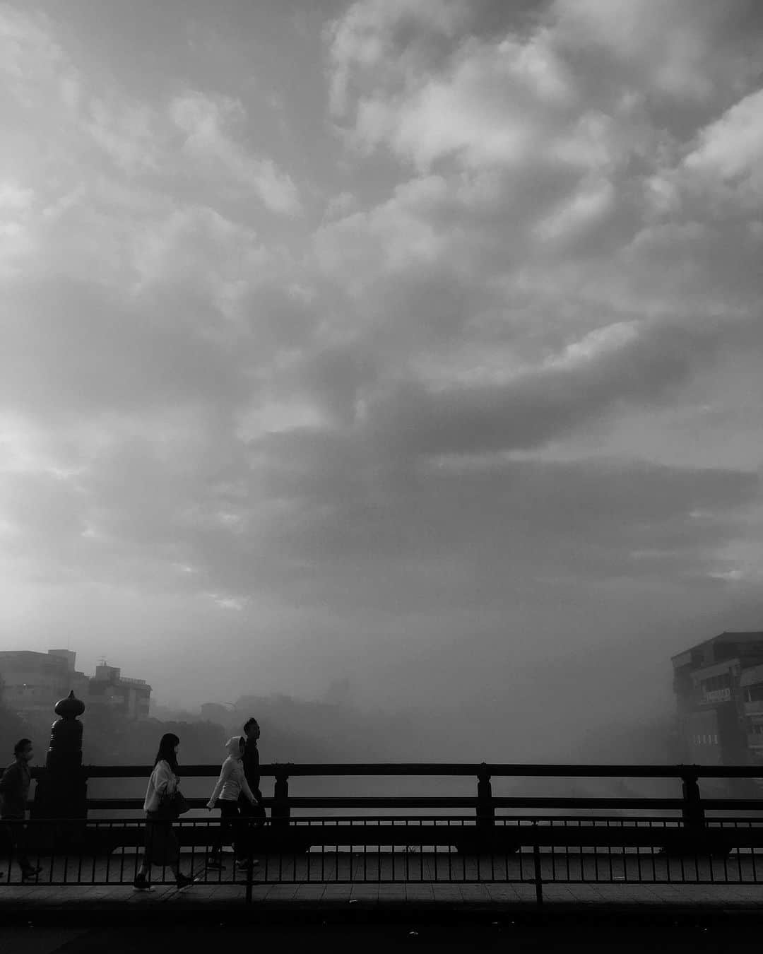 kazuのインスタグラム：「#shotoniphone #jj_blackwhite #bnw_rose #flair_bw #blacknwhite_perfection #bnw_art」