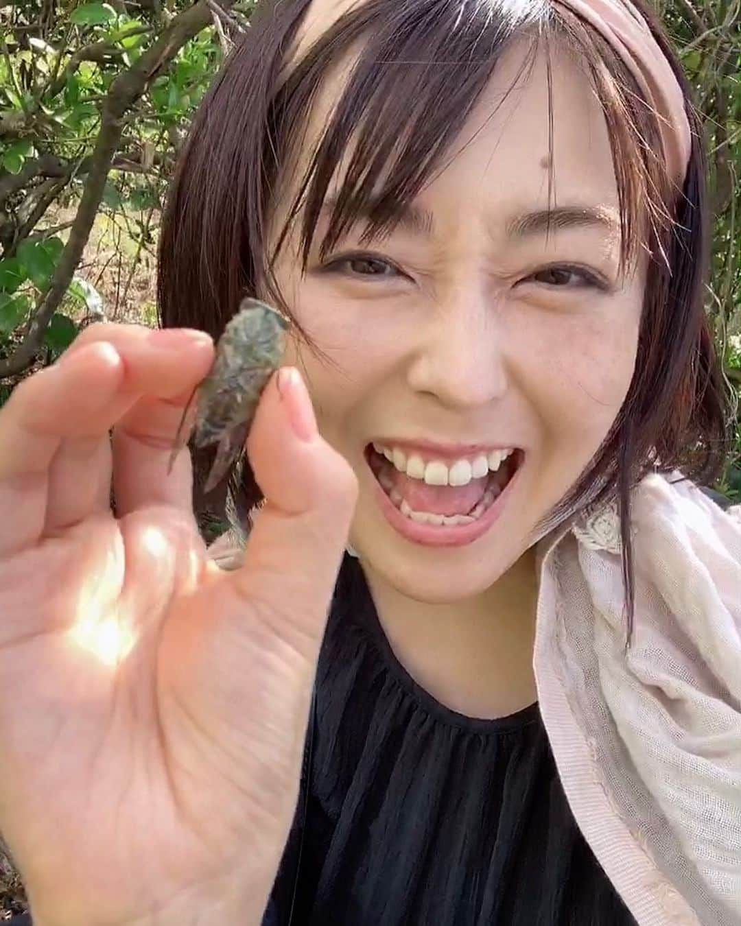 伊藤えみさんのインスタグラム写真 - (伊藤えみInstagram)「この時期にセミ鳴いてるなんて思わなくて虫捕り網とか用意してなかったので手掴み👌写真にはお腹の方しか写ってないから、背面と美しい透明の羽は動画で確認してね💕他の生き物ともたくさん出会ったから、少しずつ写真＆動画載せていこっと。  #奄美大島 #加計呂麻島 #クロイワツクツク #蝉 #セミ」11月9日 19時05分 - itoemi1019