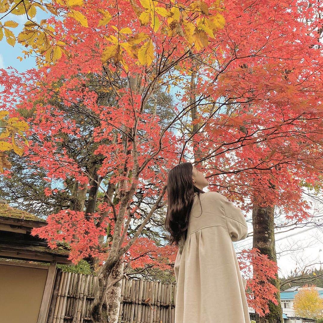 Dorothy Little Happyのインスタグラム：「あきな 🍀 * 宮城の綺麗な紅葉 定義山 知ってますか？ 三角揚げがとっても美味しいの！」