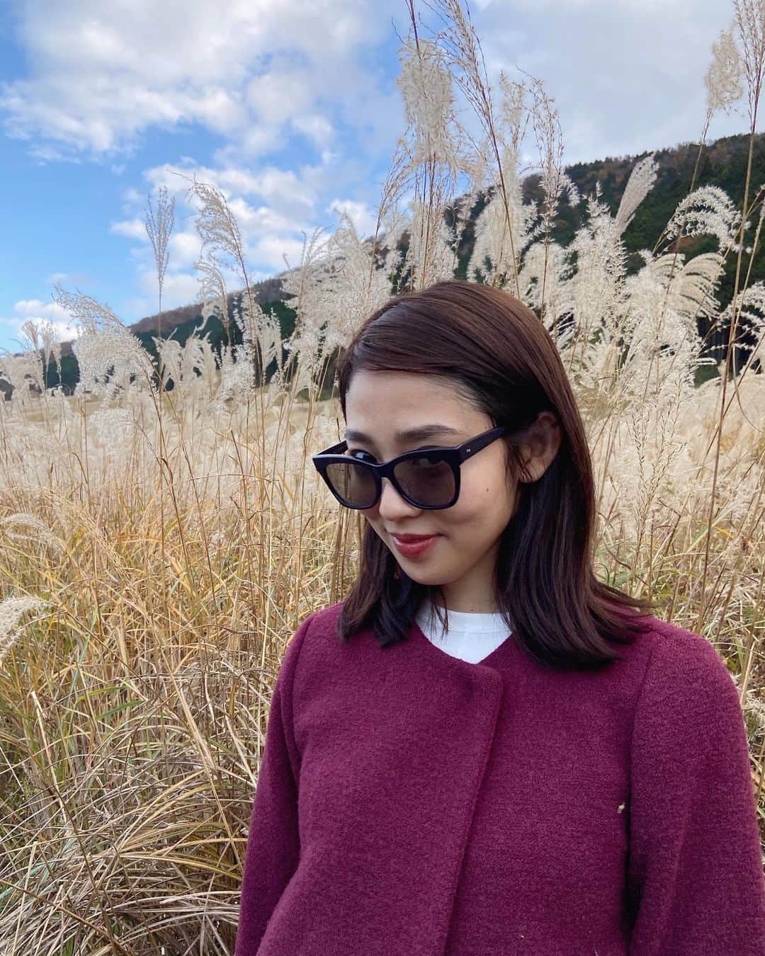 江藤百香さんのインスタグラム写真 - (江藤百香Instagram)「箱根🤍 たくさんのススキが綺麗でした」11月9日 19時22分 - momokaeto