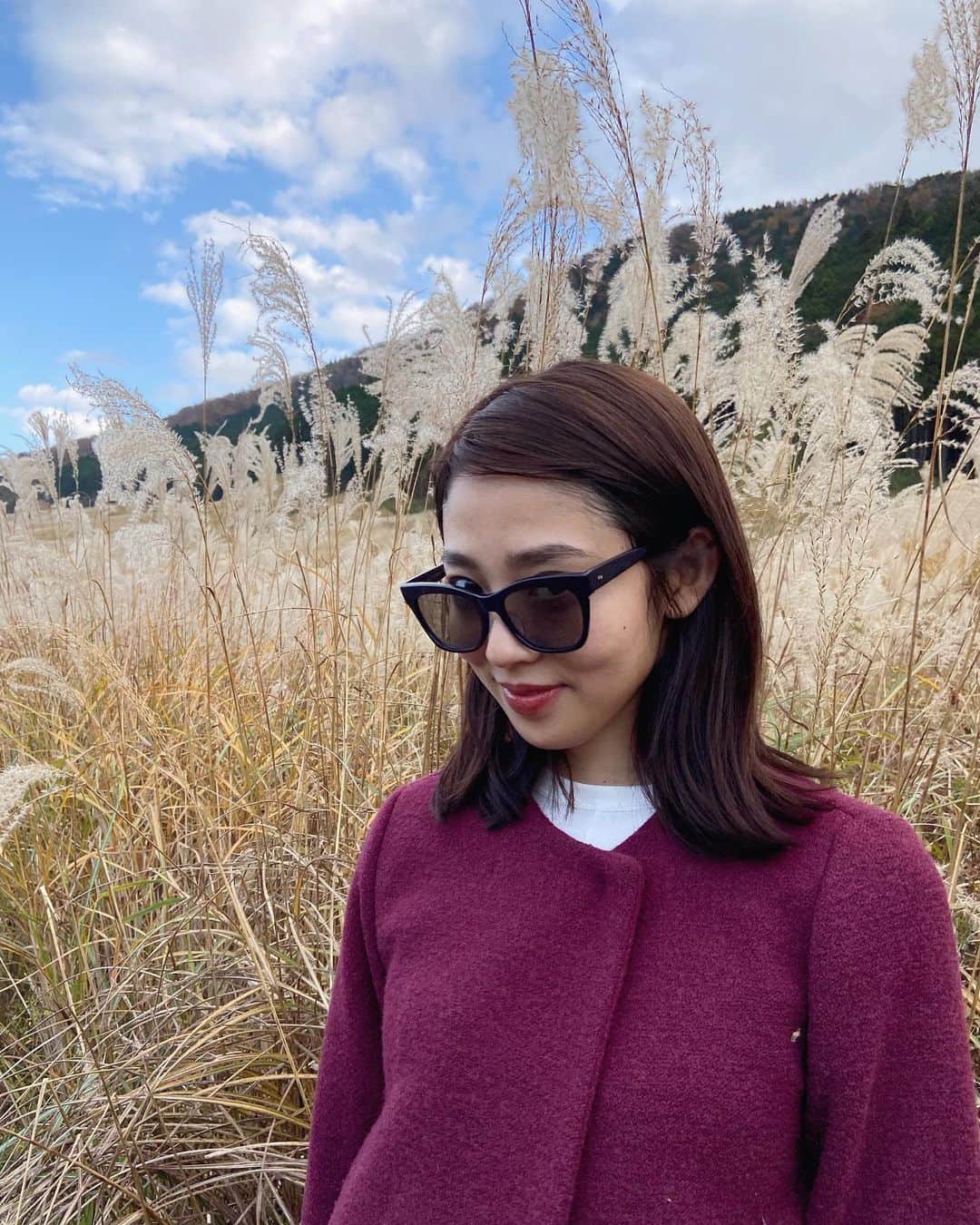 江藤百香のインスタグラム：「箱根🤍 たくさんのススキが綺麗でした」