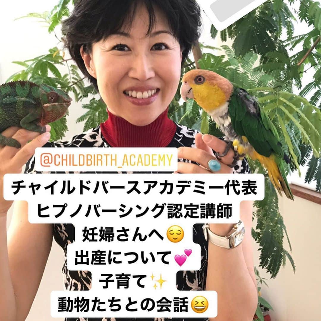 井脇幸江さんのインスタグラム写真 - (井脇幸江Instagram)「14日土曜日21:00〜22:00 第7弾フレンズトークLive🥰  話していて、時間を忘れる友達と言えば❣️京子さん😊  ご自身がヒプノバーシングでお2人のお子さんを出産✨お子さんたちの個性豊かな日常の話を聞いているだけで、幸せな気持ちになれます💖  出産子育てを経験の方も、これからの方も、参考になるお話や懐かしいお話で盛り上がれると思います❣️  大人って楽しいよ☺️ という事も伝えたいです💕  #Ballet #Dancer #バレエ #バレエダンサー #芸術 #芸術観賞 #舞台 #stage #美の世界 #四ッ谷 #Iwaki Ballet Company #バレエスタジオ #バレエ教師 #バレエ教室 #美しい #楽しい #人生 #妊娠 #出産 #出産準備 #ヒプノバーシング #個性 #友達 #インスタlive #井脇幸江」11月9日 19時22分 - yukie.iwaki