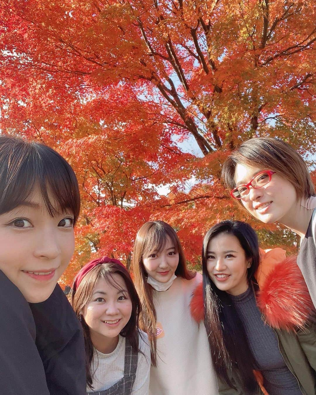 くぼたみかのインスタグラム：「A field trip to see the beautiful red leaves with these cuties❤️🍁👏 大好きなみんなと遠足みたいにバスツアー💓🚌那須高原の紅葉とても綺麗でした🍁🥺 道は混んでたけど寝たり喋りまくったりであっという間の1日✨ ケーブルカー乗ってる時に「見れたらラッキーですよ」と言われていた野生の鹿ちゃんたちをたくさん目撃できて感激！！可愛かった🥺 お天気にも恵まれてたくさん笑って本当に幸せでした💓🚌 #trip #redleaves #旅行　#バスツアー #friends」