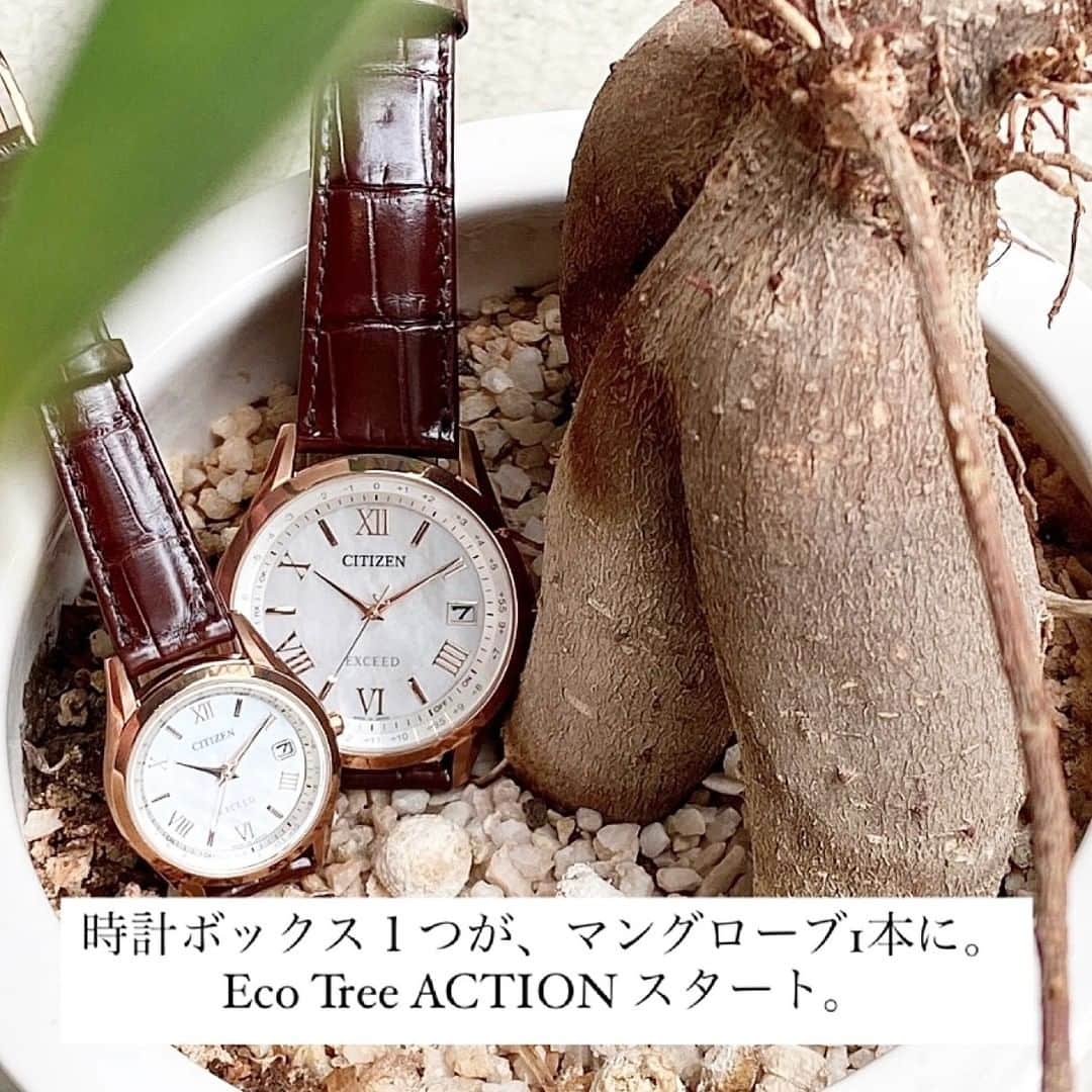 CITIZEN（シチズン時計）さんのインスタグラム写真 - (CITIZEN（シチズン時計）Instagram)「シチズンの腕時計のボックスが、マングローブ1本に変わる🌿 ・ 地球環境にやさしい『Eco Tree ACTION』が11/1よりスタートしました🌿 ・ ・ 時計を購入したときに付属されるボックス。 ・ 必要無い方がいらっしゃいましたら、遠慮なくスタッフにお申し付けください😀 ・ （ボックスが必要な方は、気になさらずお求めくださいね😀） ・ 製品1件につき、シチズンが国際NGO「NICE」を通じて、マングローブの苗1本を寄付させていただきます（お持ち帰り用に巾着型のポーチをお渡しします） ・ ボックスは主に紙で作られていますが、ボックス10,000個をCO2排出量に換算すると1.3トンに相当します。 ・ シチズンでは他にも、紙で印刷していた取扱説明書のデジタル化を進めており、年間でCO2排出量20トン削減（杉の木1,400本の年間吸収量に相当）・紙は37トンの削減効果を見込んでおり、これはバス3.7台分の重さに相当します。 ・ これからも、シチズンは環境に優しい企業を目指し、活動を続けてまいります🌿 ・ 【時計　シチズン エクシードペア　メンズCB1112-07W ¥110,000(税込) (税抜価格 ¥100,000)】 【時計　シチズン　エクシードペア　レディスES9372-08W ¥110,000(税込) (税抜価格 ¥100,000)】 ・ #ecodrive #シチズン #時計 #腕時計 #watch #watches #japanwatch #citizenwatch #マイシチズン #手元くら部 #刻印サービス #時計好き #時計好きな人と繋がりたい  #ecotreeaction #ecology  #マングローブ #エコアクション  #環境  #環境に優しい  #サステナブル  #サステナブルライフ  #サステナブルな暮らし  #ボックス」11月9日 20時00分 - citizenwatchjp