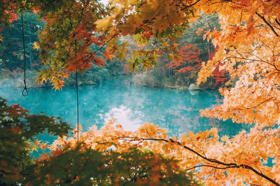 yukiさんのインスタグラム写真 - (yukiInstagram)「・ ・ Beautiful autumn days ・ ・ ◉NICOSTOPサイトにて記事公開中◉ https://nicostop.nikon-image.com/entry/technic/landscape-portrait/2020/10/16/1 ・ ・ ・ ◉sty830 base shop◉ https://sty830.base.shop/ ・ ・ ・ #福島　#五色沼」11月9日 20時11分 - sty830