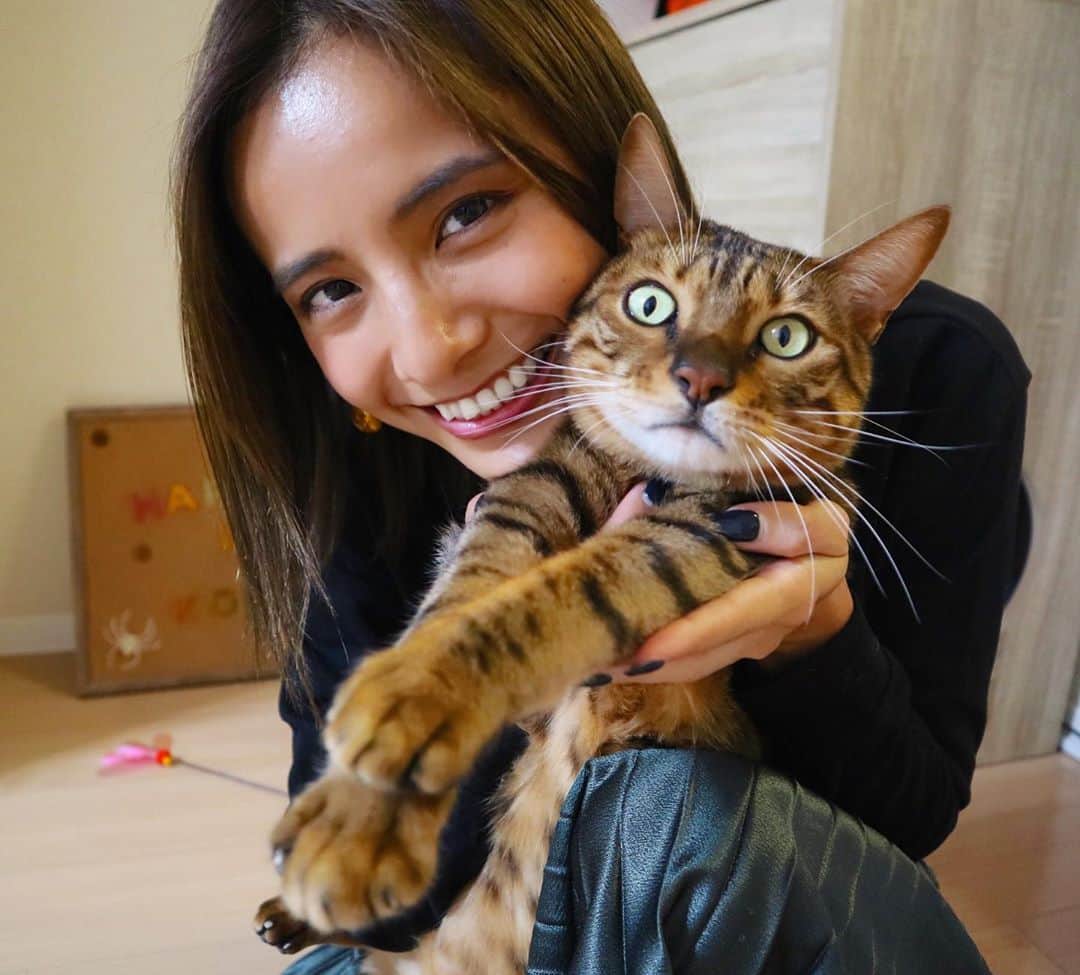 佐野千晃のインスタグラム：「YouTubeーーーー！！！﻿ ﻿ 更新ーーーー！！！﻿ ﻿ こたつファンの皆様お待たせいたしましたーーーー！！！﻿ ﻿ ニヤニヤするぐらい可愛いから見てねーーーー！！！﻿ ﻿ #cat #catstgram #catlovers #nyamnyam #nya #nyaaa #こたちゅくん #にゃー #にゃんこ #猫 #ベンガル #ベンガル猫 #猫好きと繋がりたい #猫のいる生活 #写真好きな人と繋がりたい #写真撮ってる人と繋がりたい #YouTube」