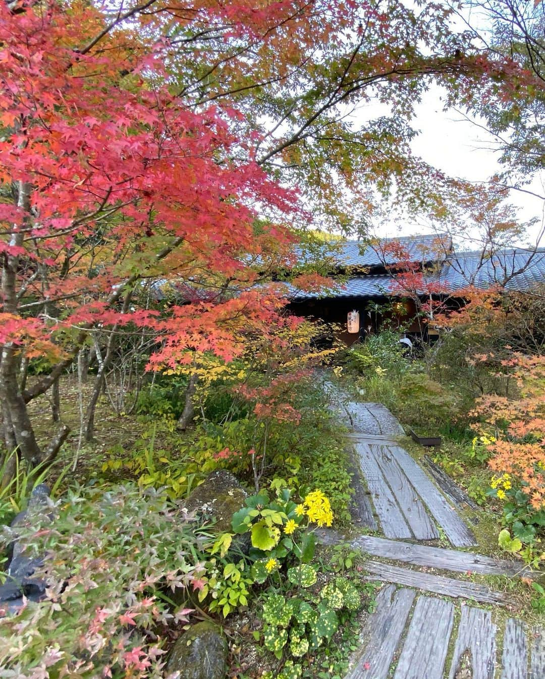 内村麻美さんのインスタグラム写真 - (内村麻美Instagram)「. 「風羅坊」 紅葉が綺麗でしたよ🍁🍁🍁 お蕎麦も最高でした♪♪ . 帰りにお買い物して リュックいっぱいにして帰った♡ . この日はガストンルーガのリュック🎒✨ いろんなデザイン持ってるけど、今回のがドラ1かな👌👌👌 公式サイトで15%offになるコード貼っとくね♪ ディスカウントコード【asami05】 ぜひ、つかってね❤️❤️❤️ . http://gastonluga.com 送料無料だし 11月4日~12月1日までの期間にクーポンコード使うと 最大30％オフになるみたいです♪♪♪ . #GastonLuga #ガストンルーガ #バックパック #佐賀県 #三瀬 #三瀬そば #風羅坊 #紅葉」11月9日 20時23分 - asami___05