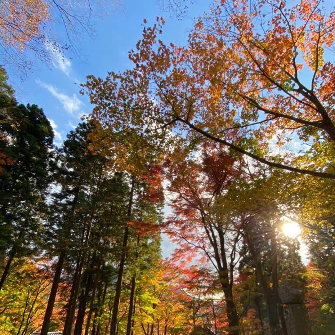 大和田美帆さんのインスタグラム写真 - (大和田美帆Instagram)「#秋　#日本の秋 #autumn 👈世界の秋が見られる！ #japaneseautumn   はぁー美しかった。 自然の美しさに癒されました。」11月9日 20時27分 - miho_ohwada