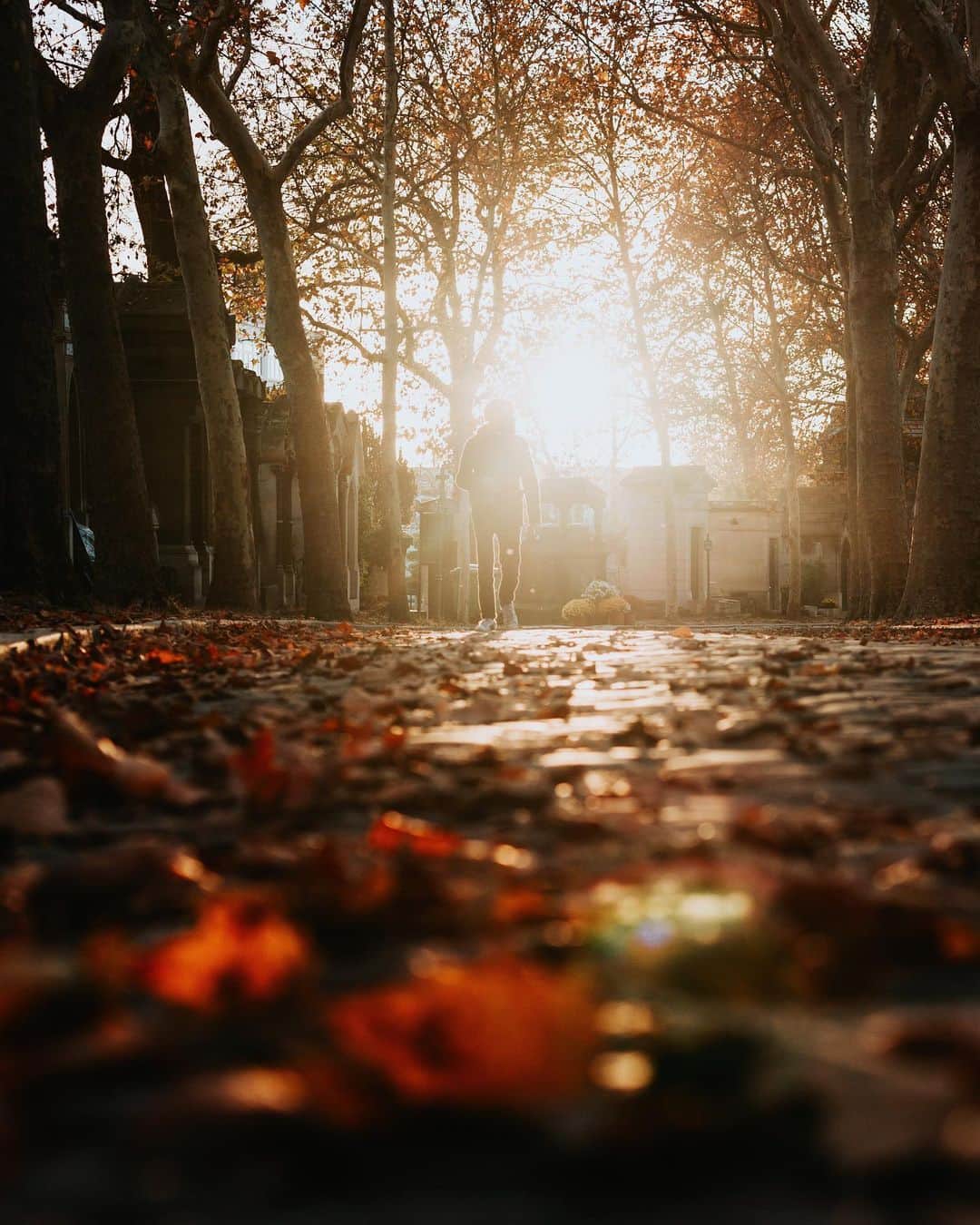 Putri Anindyaのインスタグラム：「Autumn memories 🍂🍁   Sorry for my lack of posting last month but I am still mourning of my cat who was sick and passed away recently :( so I guess I’ll just post some of my fav photos from my fav season. I think some of you already seen it but well let me post these as an autumn compilation!   In the end there’s a bonus pict of me taken with a phone by @capra311 lol. Slide them all to see and *ahem* let me know which one is your fav (i miss saying this)   1. Père Lachaise  2. Passau 3. Bergen 4. Krems 5. Somewhere along Danube river 6. Paris 7. Krems 8. Tuileries Paris 9. Tuileries Paris 10. Vienna」