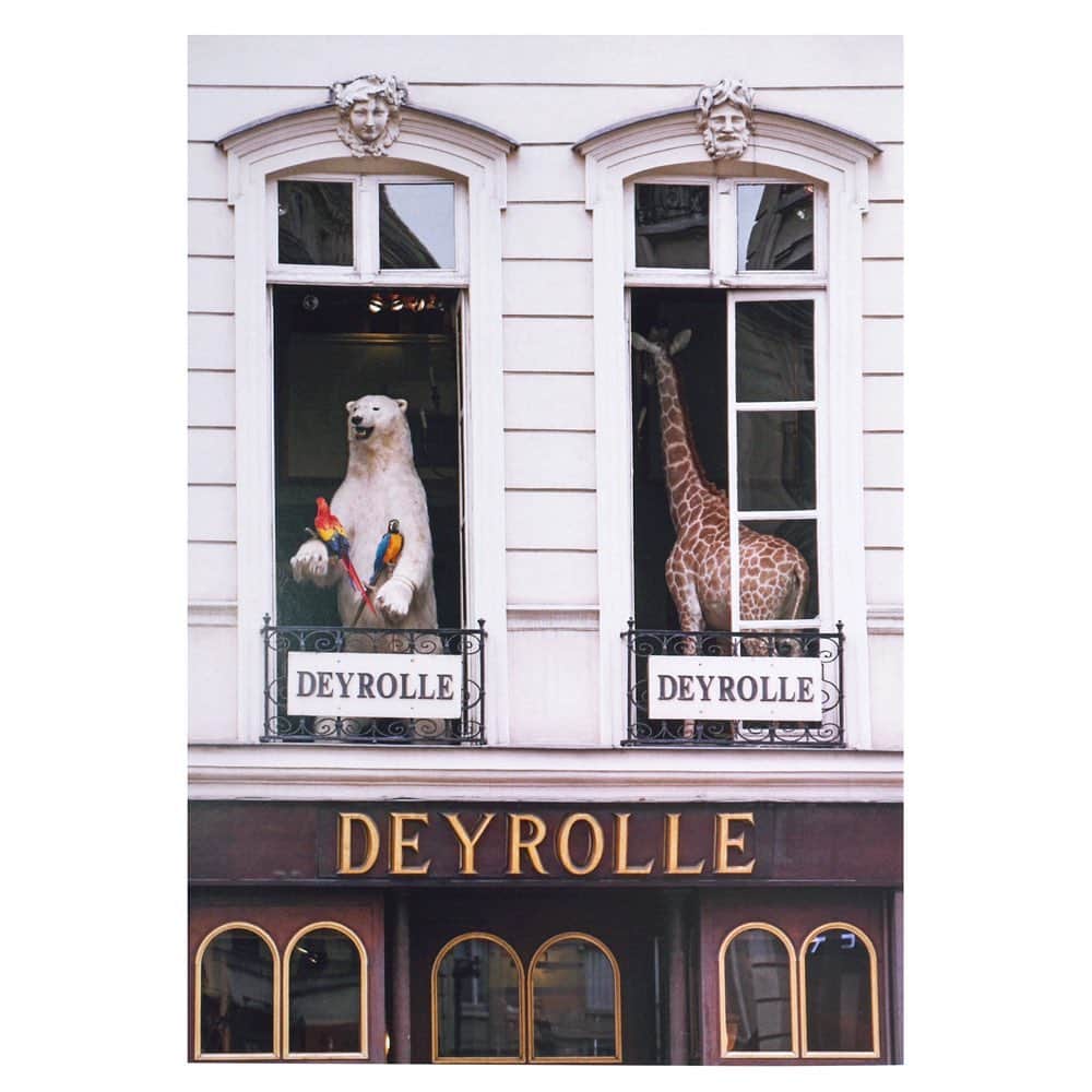 Sisterさんのインスタグラム写真 - (SisterInstagram)「DEYROLLE  Carte Postale : La Licorne ¥500 (+tax)  DEYROLLE  デロール デロール(DEYROLLE)はフランス・パリにある自然科学と教育学のためのパリの機関。 ショップとしても利用出来、剥製や標本、自然史に関連する多くの専門的な書籍も販売しており子供から大人まで魅了する老舗専門店としても有名。 1831年、ジャン・バプティスト・デロール（Jean-Baptise Deyrolle）によって設立され、 息子のアシル(Achille)へと引き継がれたデロール。 当初は彼らの昆虫学への情熱から自然史コレクションの昆虫や狩猟用具を販売し、 次第に剥製や標本を収集・製作し成功を収めます。 1866年、祖父からエミール・デロール(Émile Deyrolle)に引き継がれた当時は 自然史に関心が高まっていた背景もあり、ヨーロッパ中でたくさんの標本が製作されていました。 それらは後に自然史博物館のコレクションとなっていきます。 エミールは剥製製作、昆虫標本など多くの貴重なコレクションを販売しつつ、 それらの専門書籍の出版と販売も行いました。 現在、教育を大切に考えるDEYROLLEでは、 フランスのすべての学校や大学に提供されている科学機器、剥製、骨学、学校の家具や壁板に加えて、 多くの専門書がDEYROLLEから出版されています。 約120カ国の、学校、大学、技術センター、科学センターへの教材配布に協力しています。 2008年2月1日午前5時、昆虫の展示場所から出火し、展示室にあった約90パーセントの昆虫標本と家具類を焼失してしまいました。 この貴重なコレクションを救うために世界中の個人収集家、企業、アーティストなどからの支援で “Association de Amis de Deyrolle”を設立。 火災の残骸からアーティストは作品を製作し、Chasseie’sが主催する自然美術館で開催されたオークションで販売されました。 また、エルメスは Henri de Linarèsによる“Plumes”スカーフをカスタマイズ版として復刻、 Assouline Editionsは写真家Laurent Bochetが撮った剥製の写真集「1000°C」を出版、 SteidlもMartin d’Orgeval撮影による火災後に生まれ変わった昆虫展示をおさめた写真集「Touché par le feu」を出版しました。 多くの支援によって、現在DEYROLLEは見事に復活を遂げ 今も世界中から愛され続けています。  #deyrolle #sister_tokyo」11月9日 20時59分 - sister_tokyo