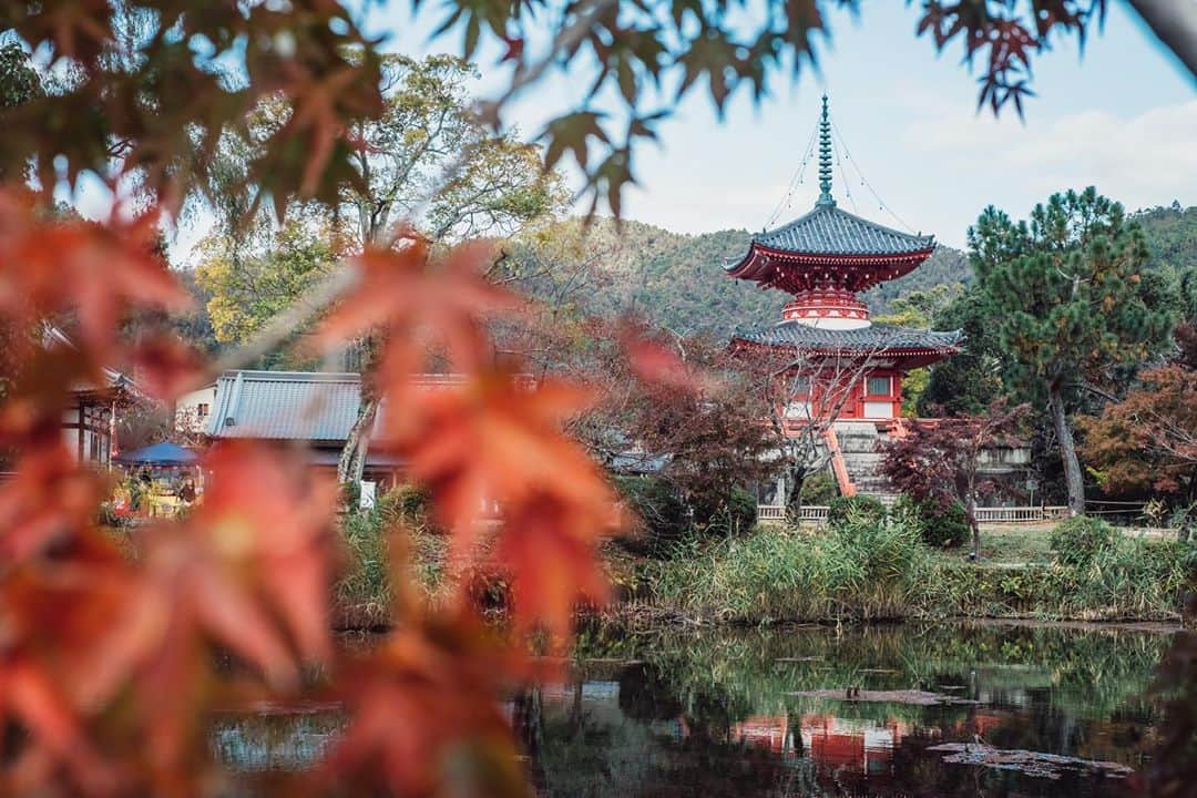 Sonoda COO Yukiyaのインスタグラム：「Autumn Kyoto  秋の京都  #kyoto  #autumn」