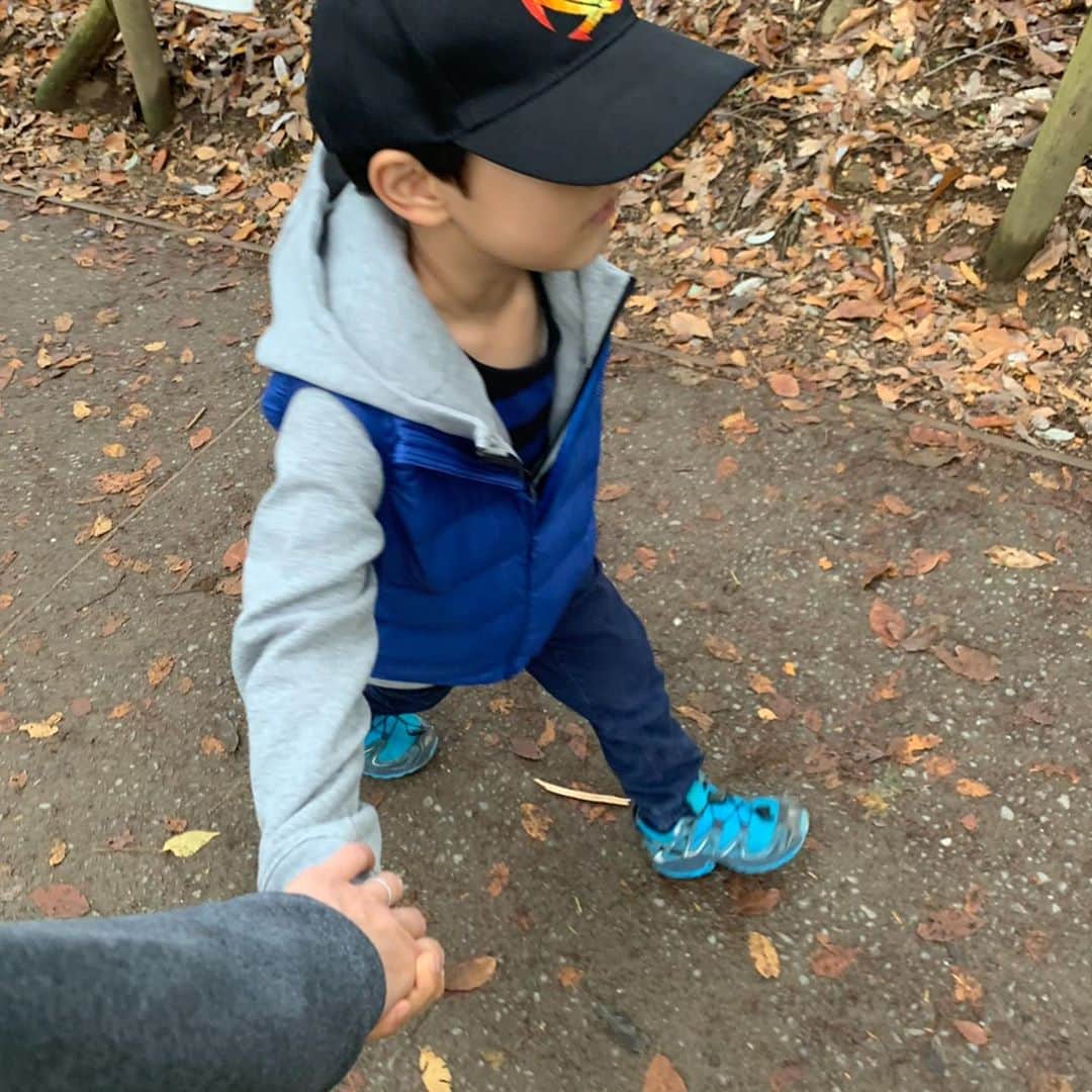 亀恭子のインスタグラム：「先日、高尾山にて。  11月に入って気温が下がり、紅葉も進み…  早速頂き物の @uniqlo_jp kids&baby を。  長男はトップス3枚レイヤード。 次男は涎で柄が…  someday's… #uniqlo #uniqlokids #uniqlobaby #brothers #takaosan」