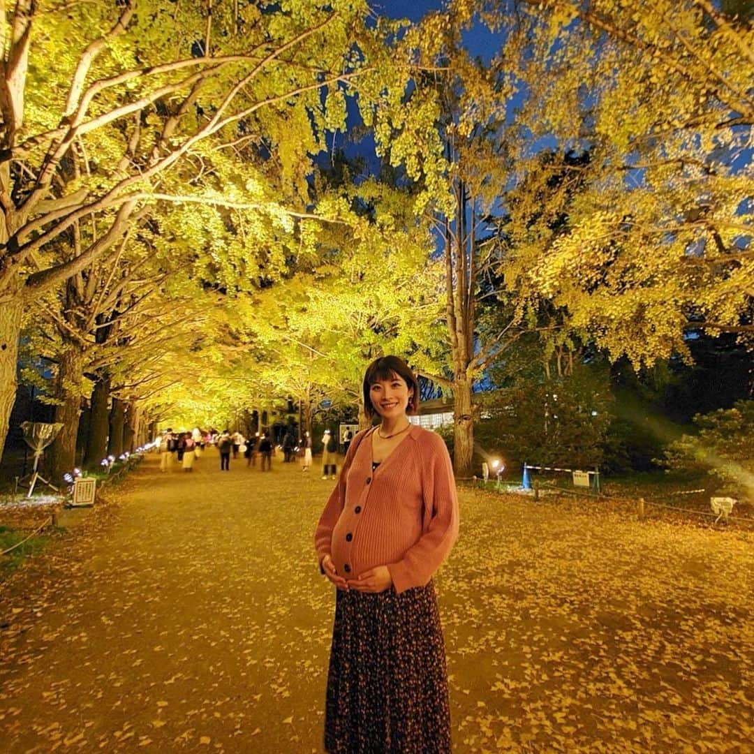 西谷綾子のインスタグラム：「🤩 銀杏並木ライトアップ✨ 綺麗でした☺️ お散歩気持ち良かった〜👟❣️  #昭和記念公園 #銀杏並木 #ライトアップ #紅葉 #散歩 #この日は夕方以降も暖かった」