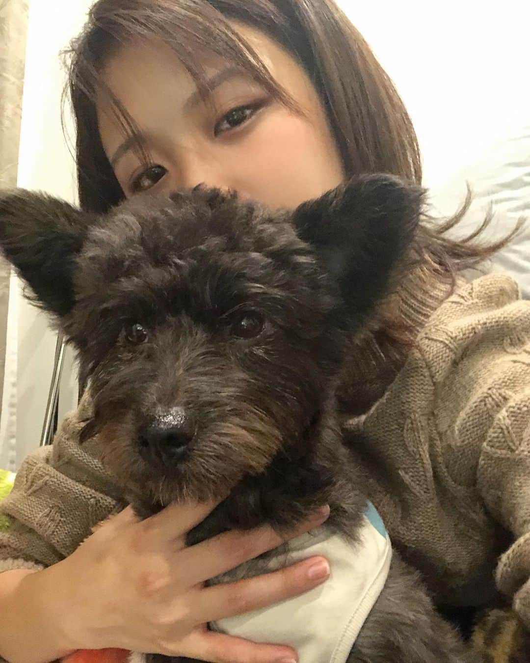 石井美音奈のインスタグラム：「うるさくて、いたずらばっかするから凄く大変だなって思う事もあるけど、でも沢山の幸せもある。 そばにいてくれるふとした瞬間、感謝が生まれるよ！もちろんレオも☺️  この日初めて、美音奈の上でお腹出して寝た😍 4枚目お気に入り❤︎なんちゅう顔？😂」