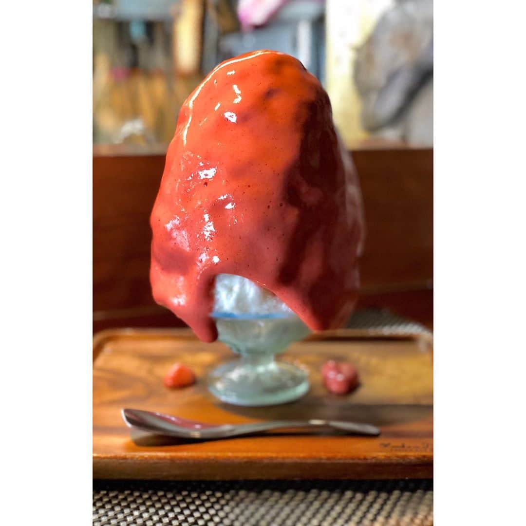 しなしさとこのグルメインスタ