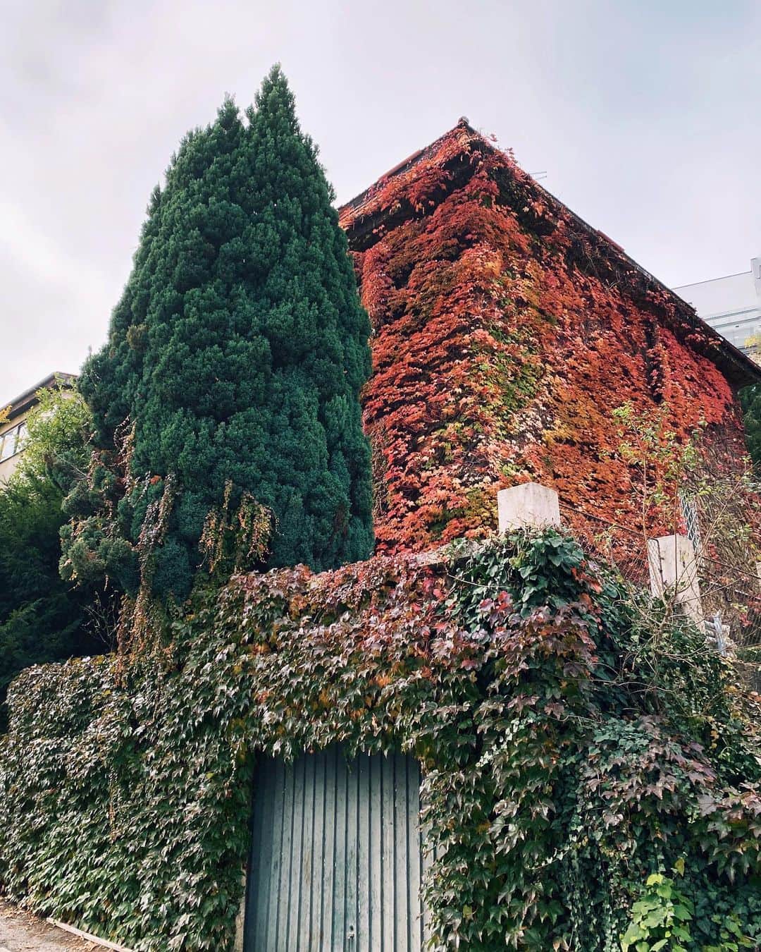 リュプカ・ゴイッチのインスタグラム：「🍁🍂🌳🤎 #zagreb」