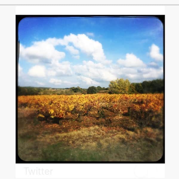 エマニュエル・ベアールのインスタグラム：「#cartepostale  #poscard  bonne semaine ☀️ #haveabeautifulweek」