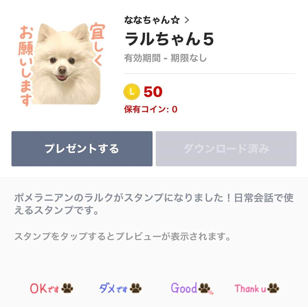 吉岡明日海のインスタグラム：「飼い主「そうなのよ〜🐶 プロフィール欄にURLを貼ってあるから是非ラルちゃんも見てみてね！」  #犬 #いぬ #ポメラニアン #ぽめらにあん」