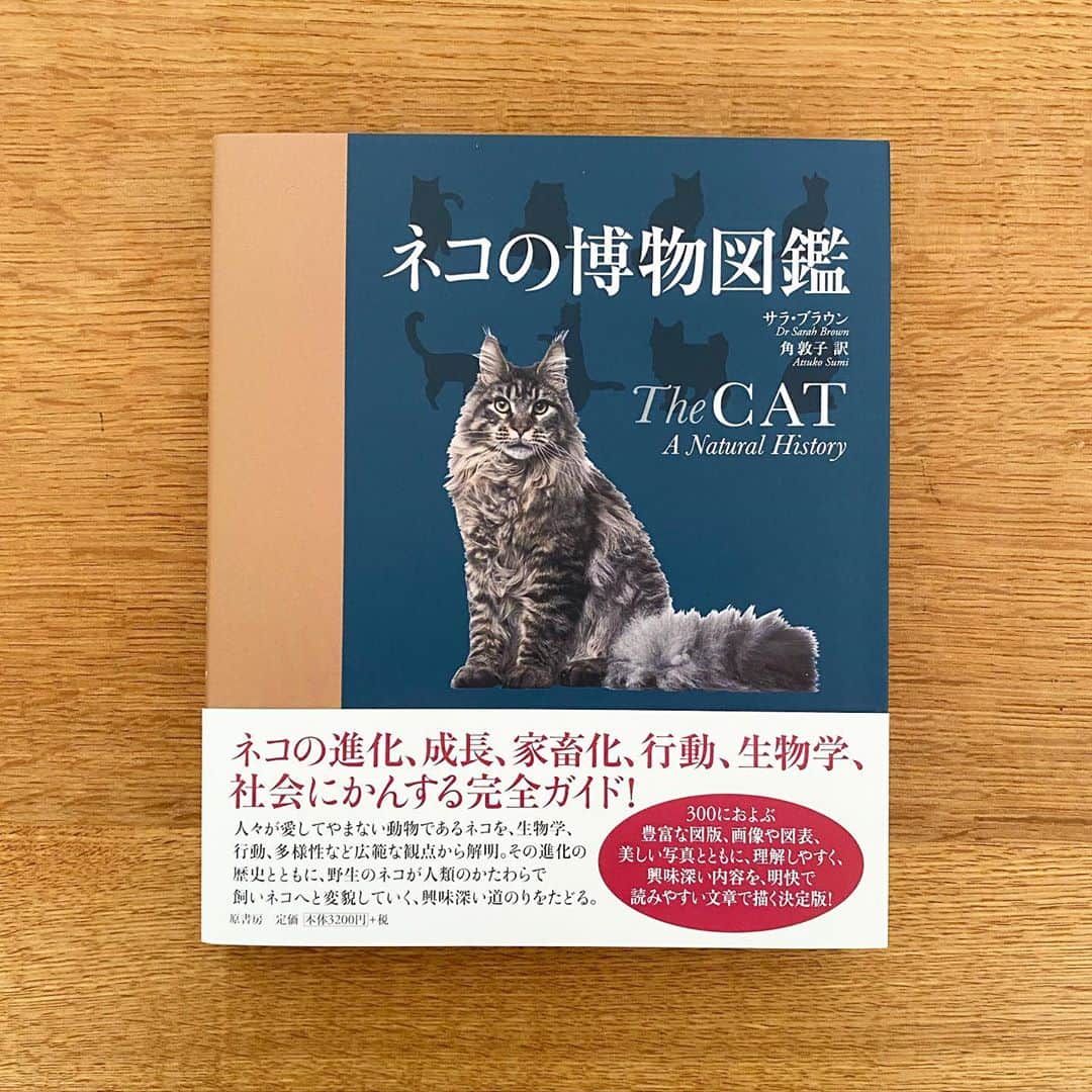 服部円のインスタグラム：「写真がきれいなのと項目がわかりやすい🐈 #服部読書 #ネコの博物図鑑」