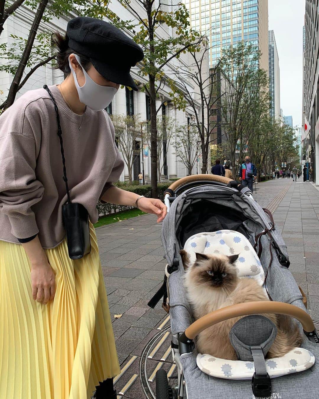 plumeさんのインスタグラム写真 - (plumeInstagram)「ベビーカーに顎乗せてくつろぐスタイル👶🏼🎶💨  家が近づくと道を覚えてるから身を乗り出すスタイル🐢😂❤️  本当に散歩が大好きなプリュム👧🏼🌿  . . . . #プリュムのいる生活 #猫のいる暮らし  #ヒマラヤン  #赤ちゃんと猫  #もふもふ#ヒマラニャンズ  #猫  #ねこ  #ペコねこ部#家族#お出かけ#散歩#東京#ベビーカー #trip#walk #stroller#tokyo #familytime#kitten#fluffy#癒し#🐈 #고양이  #ilovecats  #himalayancat  #catsofinstagram#bestmeow#bestcats_oftheworld#weeklyfluff」11月10日 8時58分 - plumestagram