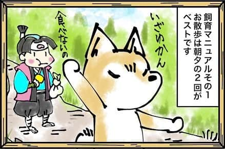 docdogのインスタグラム：「本日はドックドッグMAGAZINEで連載中の4コマ漫画の一部をご紹介します！横にスライドしながらご覧ください。⠀ ⠀ お豆なこうてん白柴生活 vol.1⠀お散歩するよ！⠀ ==========⠀ ⠀ 広島出身のお母ちゃん（私）と高知出身の親方（主人）は、お膝大好き甘えん坊な白豆柴「哮天（こうてん）」に対して猫疑惑を抱きながらも暮らしています。⠀ マニュアルに当てはまらない哮天のせいで、購入したにも関わらず開かれなくなり埃を被ってゆく飼育本との徒然なる日常生活を綴ります。⠀ ⠀ ==========⠀ ⠀ 作者あとがき⠀ ⠀ 机の下がお散歩コースの哮天。⠀ 実家で飼っていた子も近所にいた子も散歩大好きだったので、この反応は驚きでした・・・。⠀ ⠀ ==========⠀ ⠀ ドックドッグMAGAZINEから4コマ漫画の連載がはじまりました！✨サイト内のカテゴリから 愛すべき犬たち > 漫画 / イラスト を選択していただくと色んな漫画が読めちゃいます！ぜひサイトでご覧いただき、クスッと笑ったりホッコリした気分になってくださいねー😊️🍀⠀ ⠀ #お豆なこうてん白柴生活⠀ #漫画⠀ #ドックドッグ⠀ #docdog⠀ #docdog_magazine⠀」