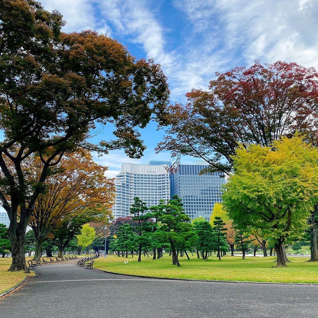 Palace Hotel Tokyo / パレスホテル東京のインスタグラム