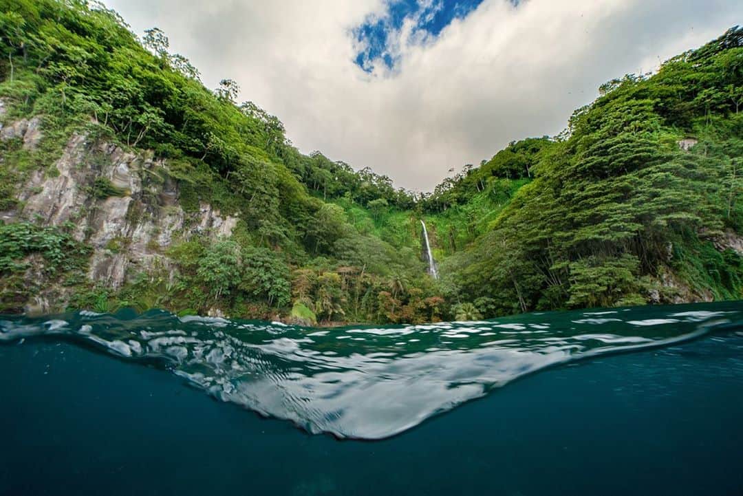 National Geographic Travelさんのインスタグラム写真 - (National Geographic TravelInstagram)「Photos by @andy_mann // Sponsored by @visit_costarica // Costa Rica is a place full of adventure, where the mountain jungles seem to flow effortlessly into the sparkling blue sea. I've learned a lot about myself traveling throughout the country over the years. I honed my skills as a bird photographer on the Osa Peninsula, first introduced my newborn daughter to the ocean on the beaches of Guanacaste, and most recently documented hammerheads through my conservation work in the Pacific Ocean offshore. It's a place that takes you on unexpected journeys and leaves you with a sense of awe every time. // Come to the place where you can find balance, feel the thrill of adventure, and connect with nature, each other, and even yourself. Experience life's essentials in Costa Rica. #EssentialCostaRica」11月10日 0時43分 - natgeotravel