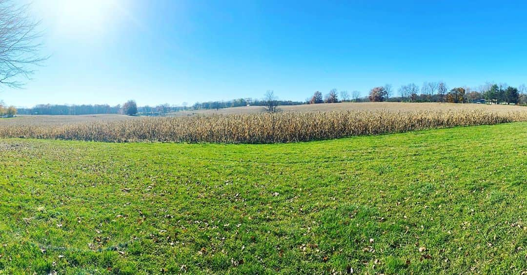 ジョン・レグイザモさんのインスタグラム写真 - (ジョン・レグイザモInstagram)「Beautiful gobal warming day upstate ny!  74 degrees」11月10日 1時00分 - johnleguizamo