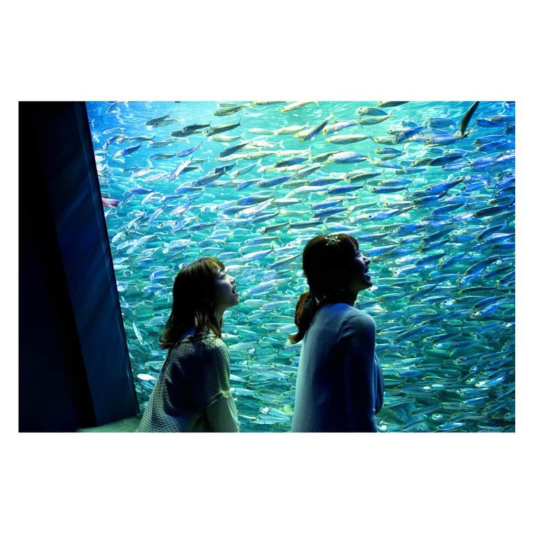 のインスタグラム：「20歳おめでとうだねぇ☺️💙  #来栖りん #26時のマスカレイド #ニジマス #くるすはたち #桃月なしこ #なしこたそ」