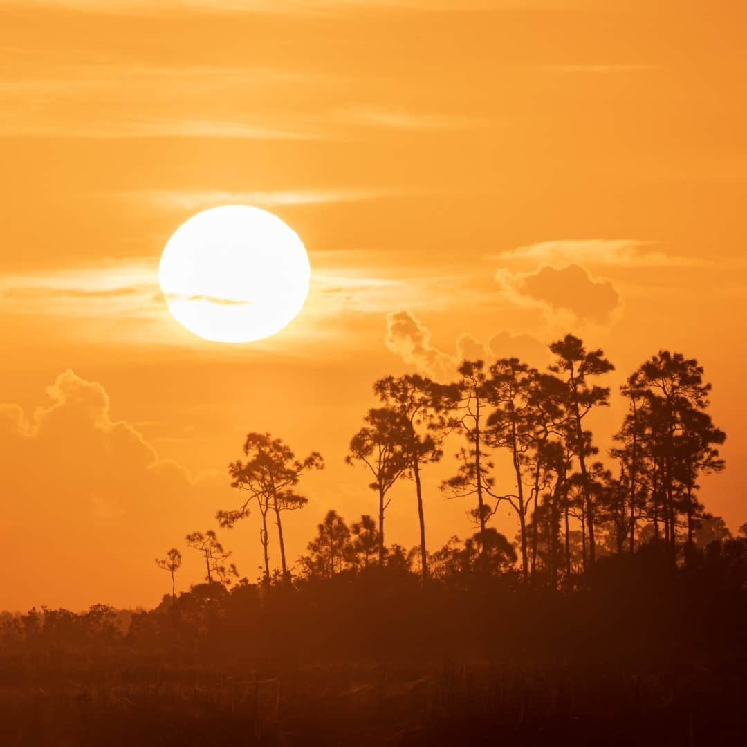 アメリカ内務省さんのインスタグラム写真 - (アメリカ内務省Instagram)「A glorious natural wonder to many, a forbidding mix of wetlands, forests, mosquitos and alligators to others, #Everglades National Park in #Florida has always evoked strong reactions in people. Generations of Calusa and Seminole people lived in harmony with the Everglades, often using the wilderness as a refuge. While many were devastated by disease or forcibly relocated, Native Americans still living in the area continue to be an important part of the area's story. Photo by Shu Xu (www.sharetheexperience.org). #usinterior #NativeAmericanHeritageMonth #FindYourPark」11月10日 1時28分 - usinterior