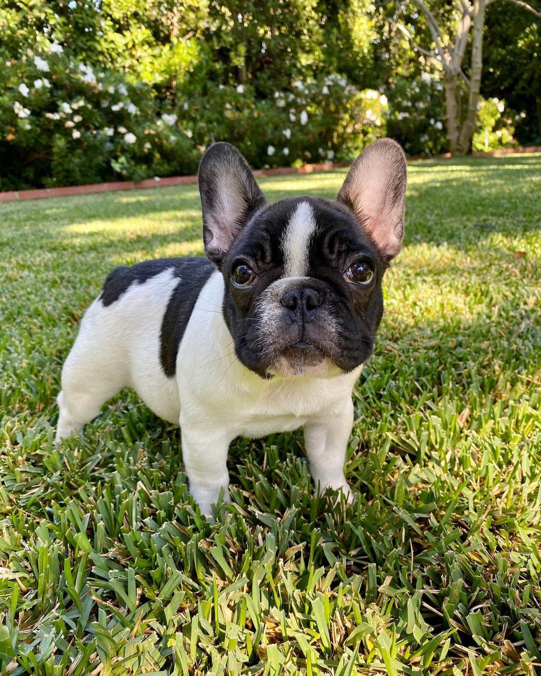リース・ウィザースプーンのインスタグラム：「Introducing Minnie Pearl. Welcome to the family little one ❤️」