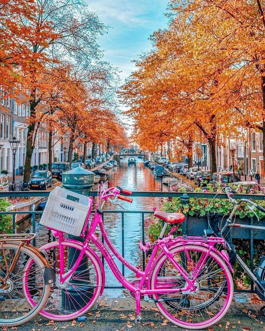Izkizのインスタグラム：「One of my most reposted photos..Autumn in Amsterdam! 🍂 What’s your favourite season? 👙🍂❄️🌷 Mine is Summer but I also love Spring..and Christmas/Winter, and the colours of Autumn sooooo basically I love them all 😄」