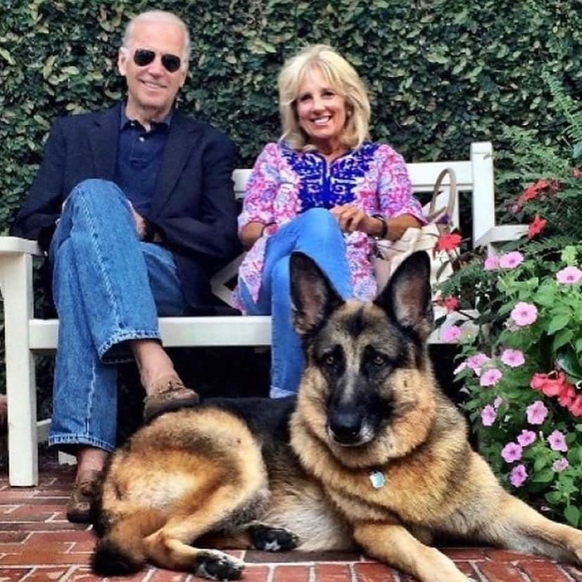 ケイティ・キャシディさんのインスタグラム写真 - (ケイティ・キャシディInstagram)「It's so refreshing to know that dogs will be returning to the White House! Not to mention, The Biden's 2 year old German shepherd, Major, will become the first rescue to live at the White House. It's about time!!! @joebiden @drbiden 🐶♥️」11月10日 3時11分 - katiecassidy