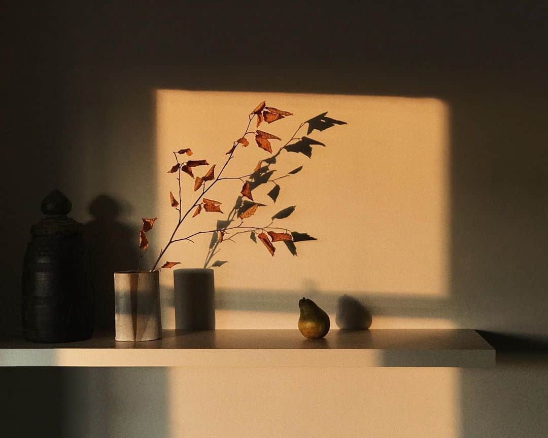 C E R E A Lのインスタグラム：「Late afternoon, working on the upcoming volume.」