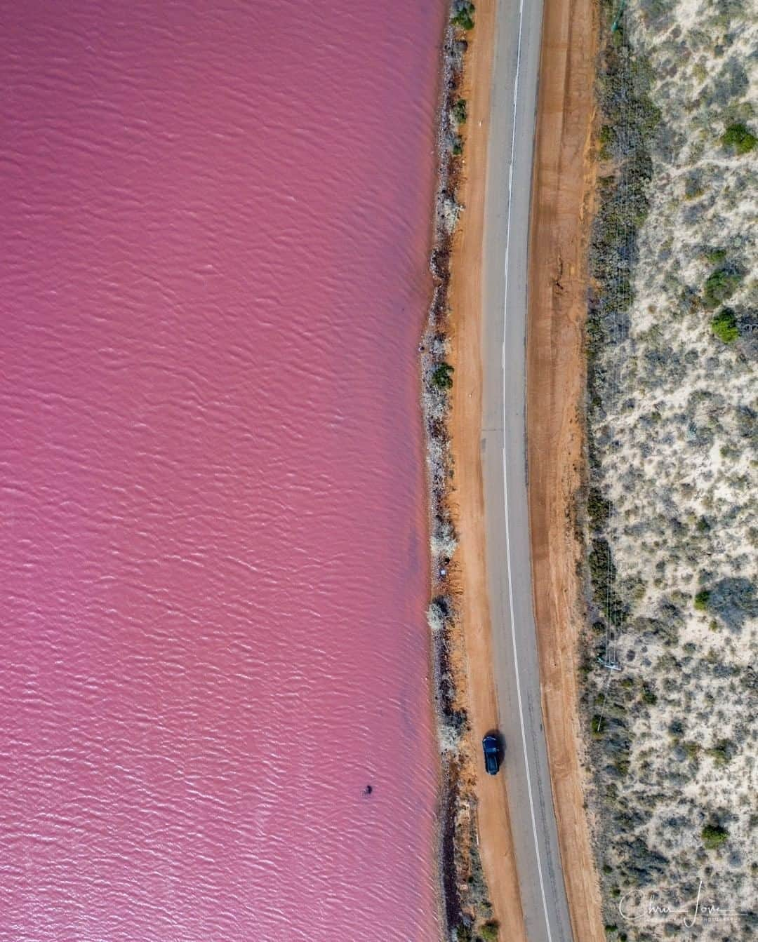 Australiaさんのインスタグラム写真 - (AustraliaInstagram)「When you’re feeling so extra, you decide to go pink 💁‍♀️ You’re gazing down upon @westernaustralia’s eye-catching #HuttLagoon, beautifully captured here by @chrislove1972. Depending on the season, time of day and cloud coverage, this extraordinary #pinklake in @australiascoralcoast changes from red to pink and even to lilac purple in appearance. Located between the towns of #Geraldton and #Kalbarri, this candy-coloured beauty can be easily accessed via #GeorgeGreyDrive, or if you’re up for a #roadtrip, it’s a six-hour drive north of @destinationperth. #seeaustralia #westernaustralia #thisiswa #wanderoutyonder #australiascoralcoast #holidayherethisyear」11月10日 4時00分 - australia