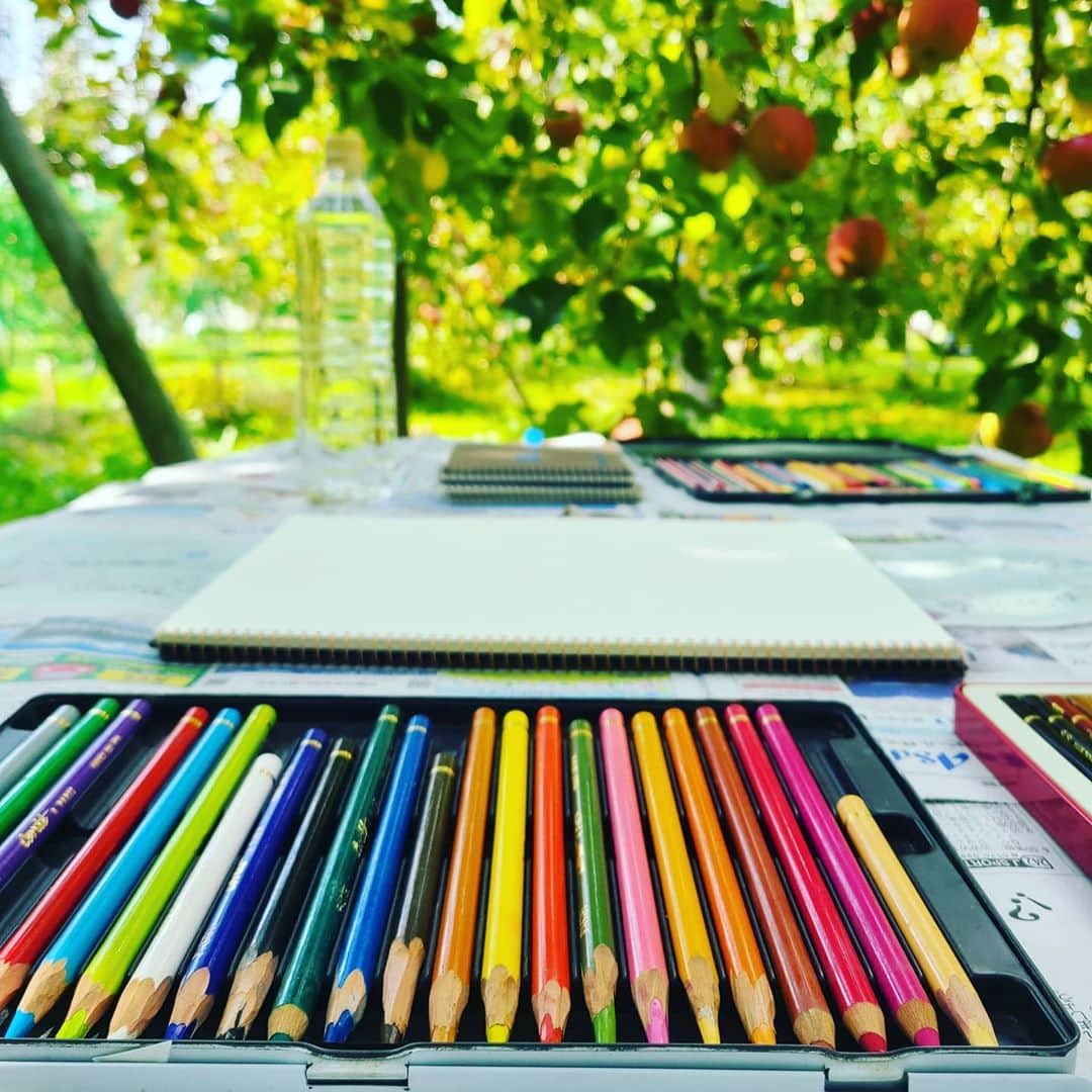 小平奈緒さんのインスタグラム写真 - (小平奈緒Instagram)「いろいろ⛅🍎🍃  空は「青」、りんごは「赤」、葉っぱは「緑」…  本当にそう？  色、温度、光、感情、記憶…  思考も表現も現在絶賛育ち盛りです🙌 氷上をキャンバスに🎨 ブレードで描く曲線に、色が加わったら綺麗だろうな。  #大きなりんごの木の下で #芸術の秋 #表現」11月10日 9時42分 - nao.kodaira