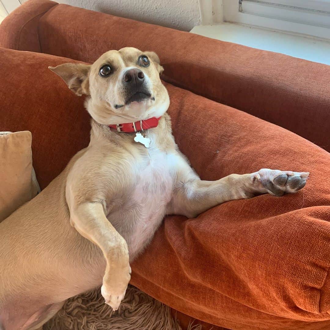 ベスト・コーストさんのインスタグラム写真 - (ベスト・コーストInstagram)「“what a year this day has been, what a day this year has been” - me」11月10日 4時53分 - best_coast