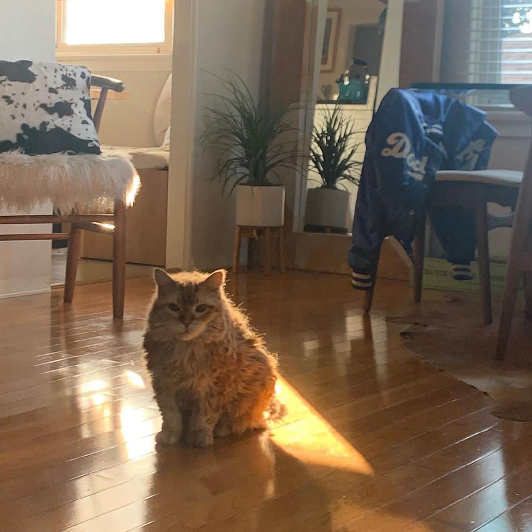ベスト・コーストさんのインスタグラム写真 - (ベスト・コーストInstagram)「“what a year this day has been, what a day this year has been” - me」11月10日 4時53分 - best_coast